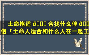 土命格适 🐟 合找什么伴 🐴 侣「土命人适合和什么人在一起工作」